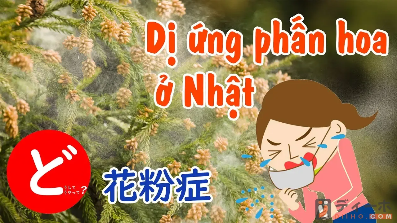 Các biện pháp phòng ngừa dị ứng phấn hoa